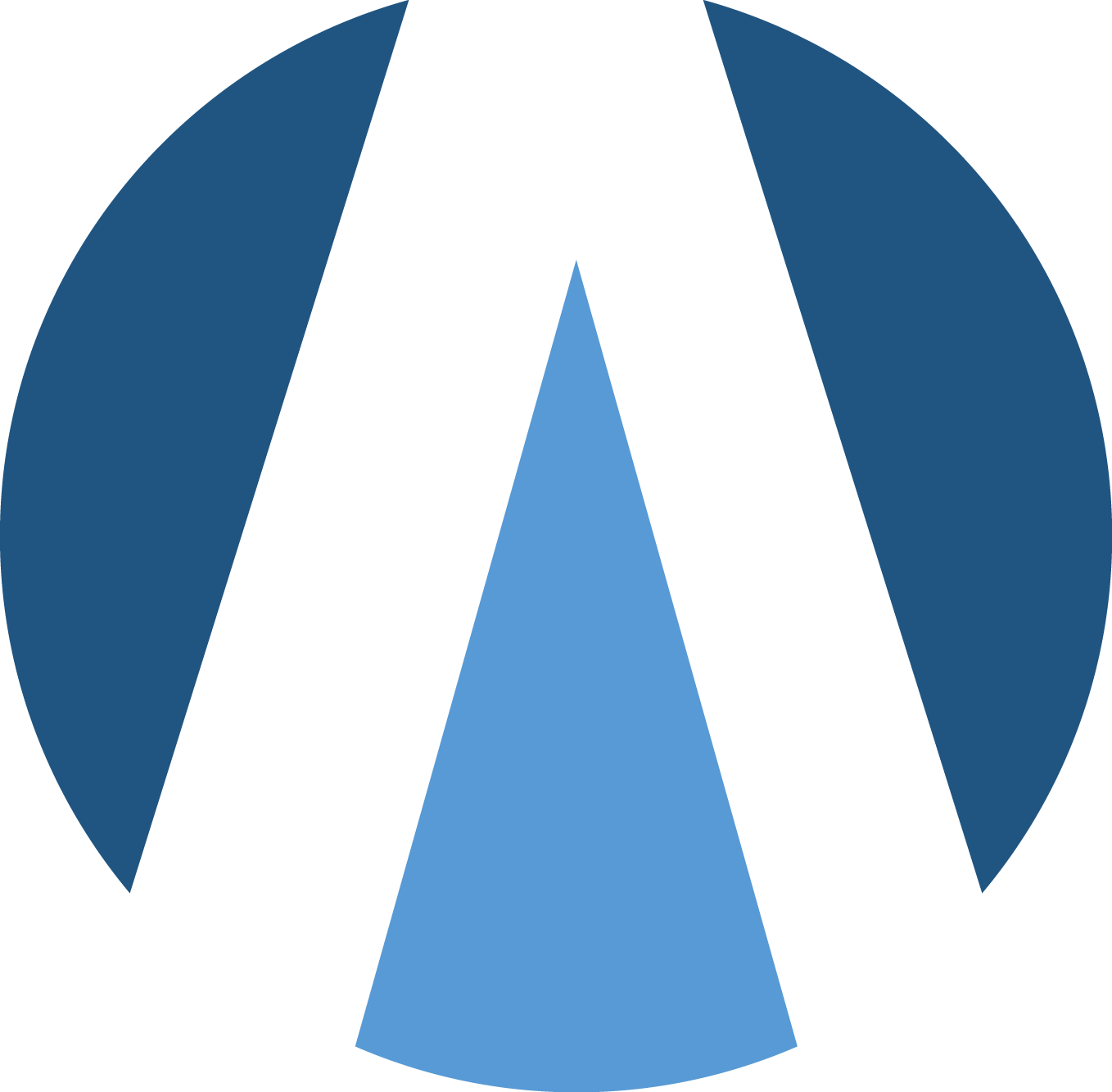 Avion Logo